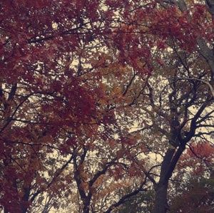 Meet your Posher, Hana